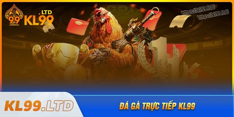 Những hình thức chọi đá gà kl99